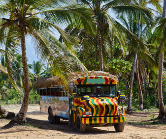 Safaribus in der Karibik