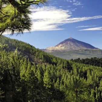 gran canaria